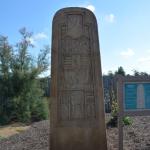 2019_OTRA_0890 (September 02, 2019)